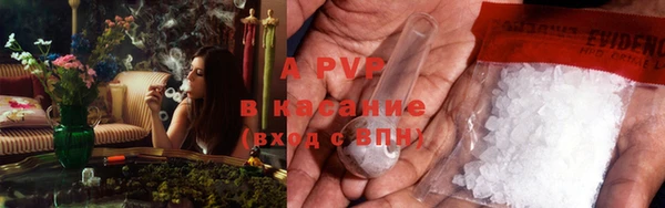 СК Вязьма