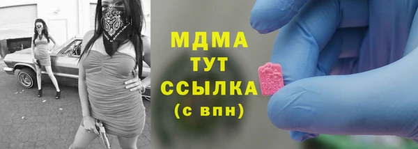 эйфоретик Вяземский