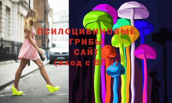 СК Вязьма
