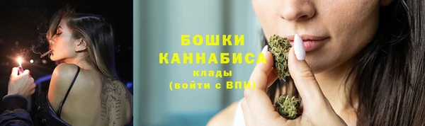 эйфоретик Вяземский
