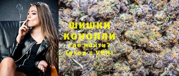 СК Вязьма