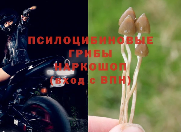2c-b Вязники